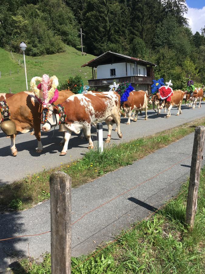 Pension Woergoetter Kirchdorf in Tirol Kültér fotó