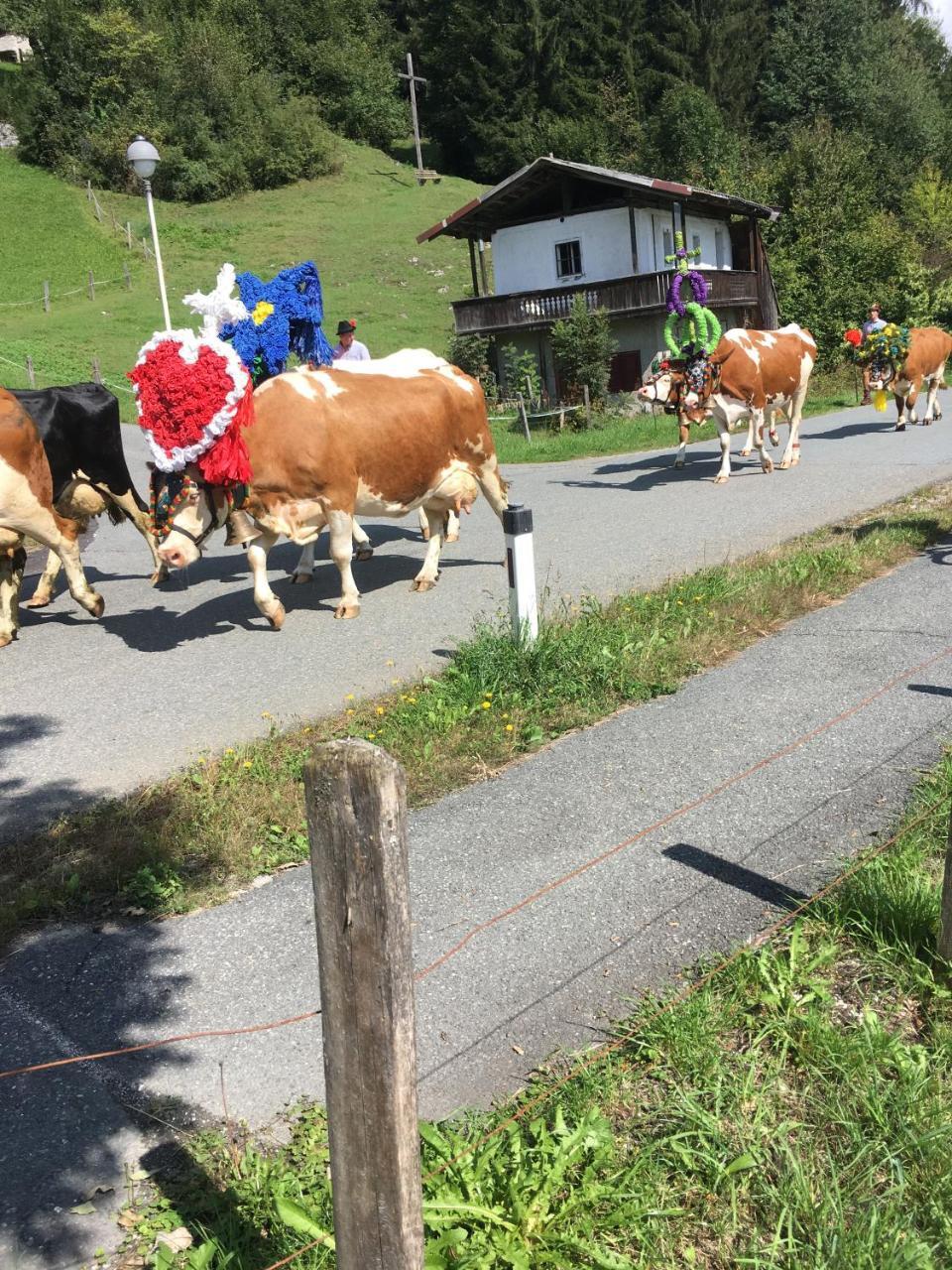 Pension Woergoetter Kirchdorf in Tirol Kültér fotó