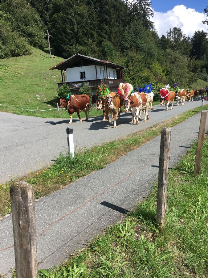 Pension Woergoetter Kirchdorf in Tirol Kültér fotó